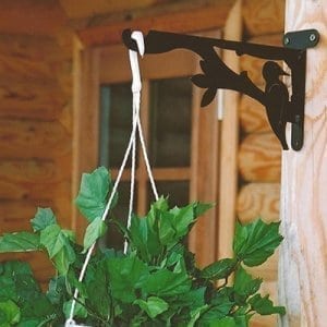 Hanging basket brackets woodpecker
